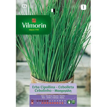 Vilmorin Semillas De Cebolleta Aromática S-1 516, 1,5 Gr