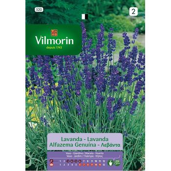 Vilmorin Semillas De Lavanda Aromática S-1 520, 2 Gr