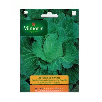 Semillas De Col Repollo Bacalan De Rennes Vilmorin 6g