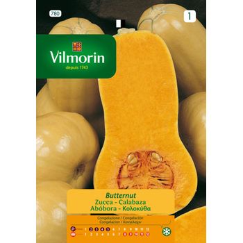 Vilmorin Semillas De Calabaza Butternut S-1 780, Sobre 7 Gr