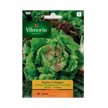 Semillas De Lechuga Reina De Mayo Vilmorin 7g