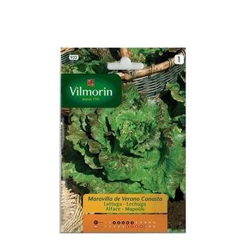 Semillas De Lechuga Maravilla De Verano Vilmorin 7g