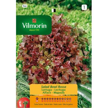 Vilmorin Semillas De Lechuga Red Bowl S-1 944 (h.roble), 7 Gr