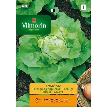 Vilmorin Semillas De Lechuga Attrazione, Ref: 924, Sobre 7 G