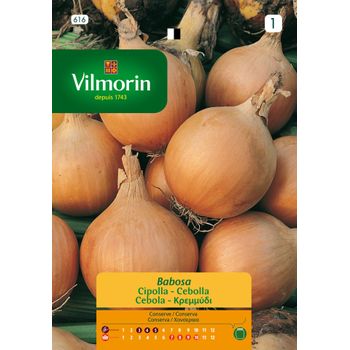 Vilmorin Semillas De Cebolla Babosa S-1 616, 5 Gr