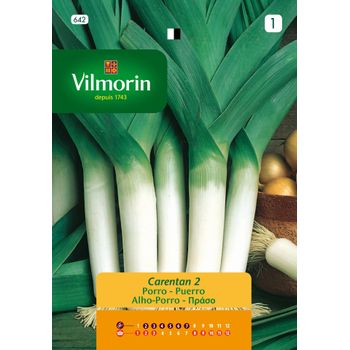 Vilmorin Semillas De Puerro Carentan-3 S-1 642, 5 Gr