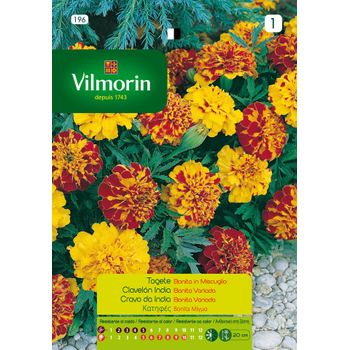 Vilmorin Semillas De Clavelon Indiabonita Flores S-1, 1,5 Gr