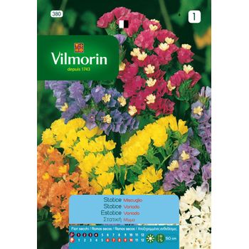 Vilmorin Semillas De Statice Sinuata Flores S-1, 0,5 Gr