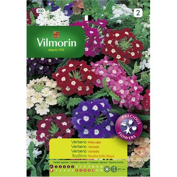 Vilmorin Semillas De Verbena Variada, Sobre 1 Gr