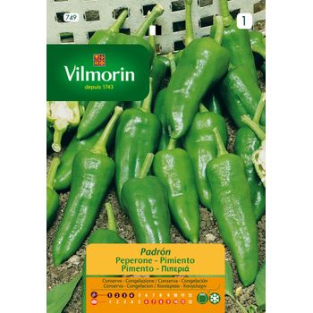 Vilmorin Semillas De Pimiento Padron S-1 749, 0,3 Gr