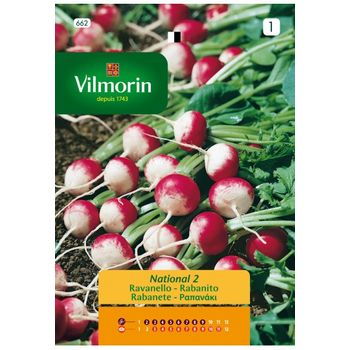 Vilmorin Semillas De Rabanito Redondo Multicolor S-1, 4 Gr