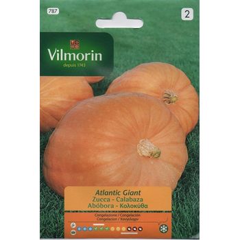 Vilmorin Semillas De Calabaza Gigante Atlantic S-2, Sobre 2 Gr