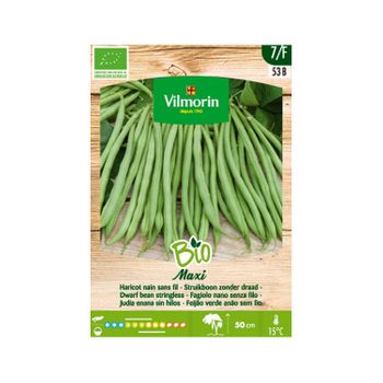 Vilmorin Jardín Bio Semillas De Judía Mata Baja Maxi, Caja 100 Gr