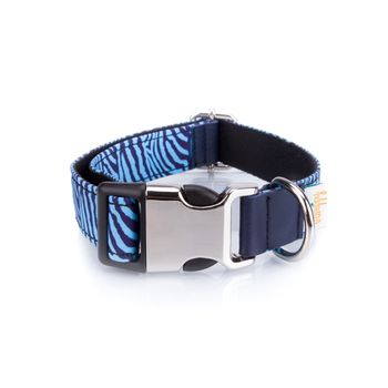 Collar Para Perros Funny Cebra Azul Pamppy 35 Cm