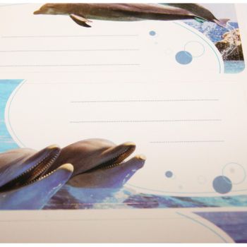 12 Etiquetas Escolares - Rectángulo - Delfines