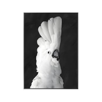 Cartel, Póster Birdi  50x2.5x70 Cm Color Negro, Blanco Vente-unique