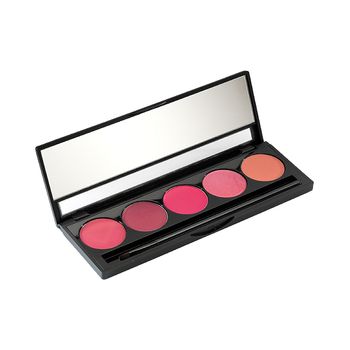 Paleta Barras De Labios Peggy Sage 5 X 1.5 Gr Colores Fríos