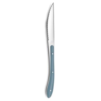 Cuchillo De Mesa Amefa Bistro Metal Bicolor (23 Cm)