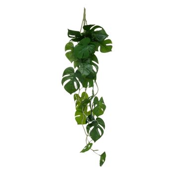 Planta Colgante "monstera" H85cm Atmosphera