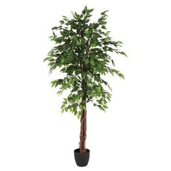 Planta Ficus Artificial H180 Cm