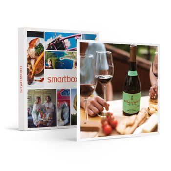 Caja Regalo Gastronomía - Cata De 4 Vinos En Bodegas Osborne - Montecillo