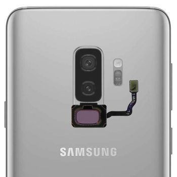 Botón Home De Inicio Samsung Galaxy S9 / S9 Plus Con Conexión - Violeta