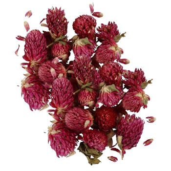 Flores Secas - Trébol Rojo 30 G