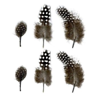 Plumas Naturales De 2 A 6 Cm - 6 G