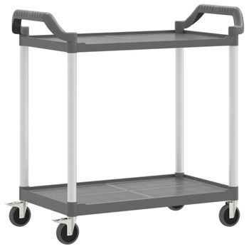 Carrito De 2 Niveles Aluminio Gris 99x50x97 Cm