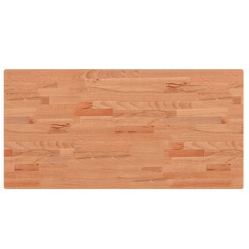 Vidaxl Tablero Rectangular De Madera Maciza De Haya 100x50x2,5 Cm Marrón