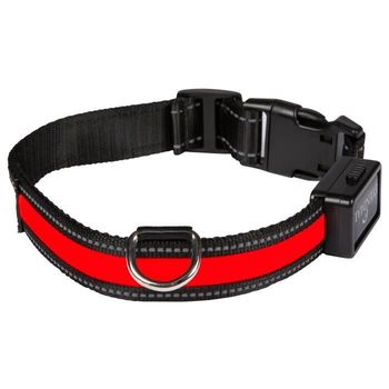 Eyenimal Light Collar Usb Light Collar Recargable M - Rojo - Para Perros