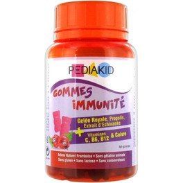 Ineldea Pediakid 60 Gominolas Ositos Inmuno Sabor Frambues