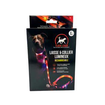 Correa Y Collar Luminosos Para Perros - Venteo - Led Recargable Por Usb