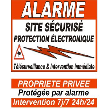 Detector De Presencia Exterior - Alarme Atlantic's con Ofertas en Carrefour