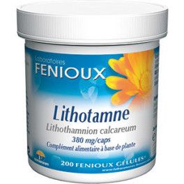 Fenioux Lithotame 200 Caps 380 Mg