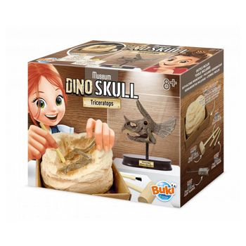 Cráneo De Dino Del Museo - Ratops Tric