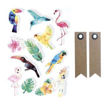 12 Pegatinas 3d - Pájaros Tropicales 6 Cm + 20 Etiquetas Kraft Banderí