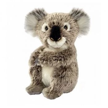 Holly, la peluche koala
