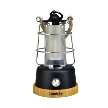 Farol Led Inalámbrica H23cm Wildy