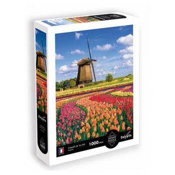 1000 P Holanda Campos De Tulipanes