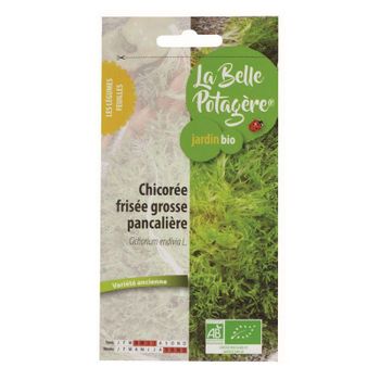 Panqueque Grande De Ensalada Frisee - 0.5 G