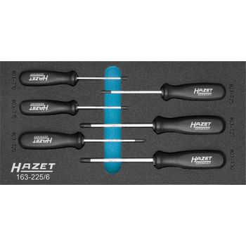 Hazet 163-225/6 Juego De Destornilladores ∙ Torx® ∙ Perfil Torx® Interior ∙ T10 – t30 ∙ Número De Herramientas: 6