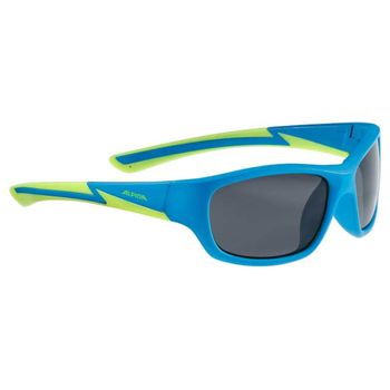 Gafas Esqui Alpina Flexxy Youth Black/cat3