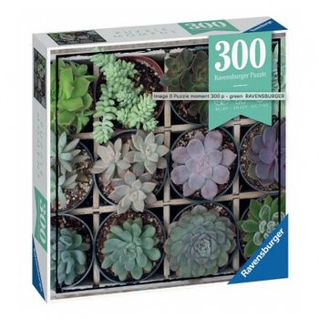 Ravensburger Puzzle Moment Green 300 Piezas
