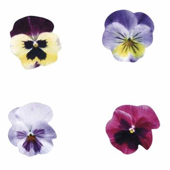 Miniaturas De Madera Flores Púrpuras 2.5 X 2,5 Cm.