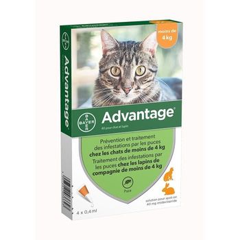 Ventaja 40 - 4 Pipetas Antiparasitarias - Para Gatos Y Conejos De Menos De 4 Kg