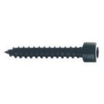 Screws (cylinder Head) 5 X 30 Mm Pu=24 St