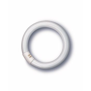 Tubo Iluminacion Fluorescente Trifosforo Circular 22w 6500 K Osram