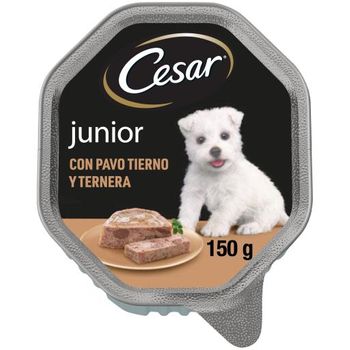 Empapadores Desechables Carbón Perros Alfombrilla Hingiética Entrenamiento  Cachorros Control Olor Super Abs con Ofertas en Carrefour