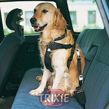 Cinturón Para Correr Con Perros Talla M Negro 12767 Trixie con Ofertas en  Carrefour